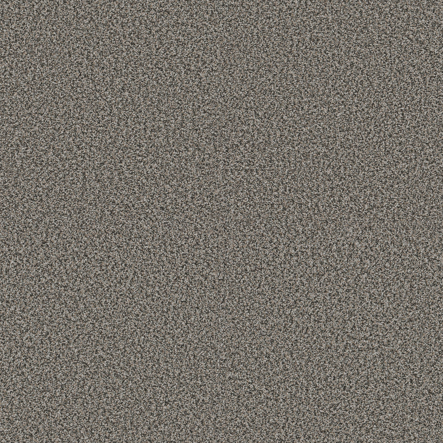 Shaw Floors - Carpet - Pet Perfect + Collection - Renewed Energy I - 12' - Shadow