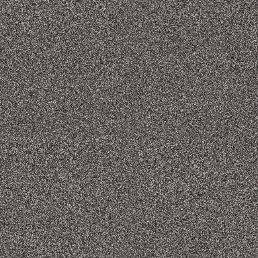 Shaw Floors - Carpet - Pet Perfect + Collection - Renewed Energy I - 12' - River Rock