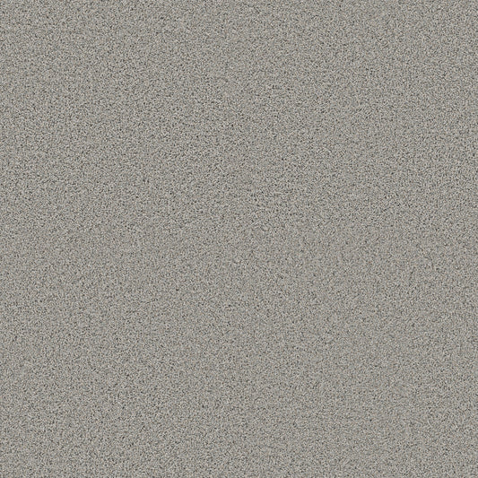 Shaw Floors - Carpet - Pet Perfect + Collection - Renewed Energy I - 12' - Thin Ice