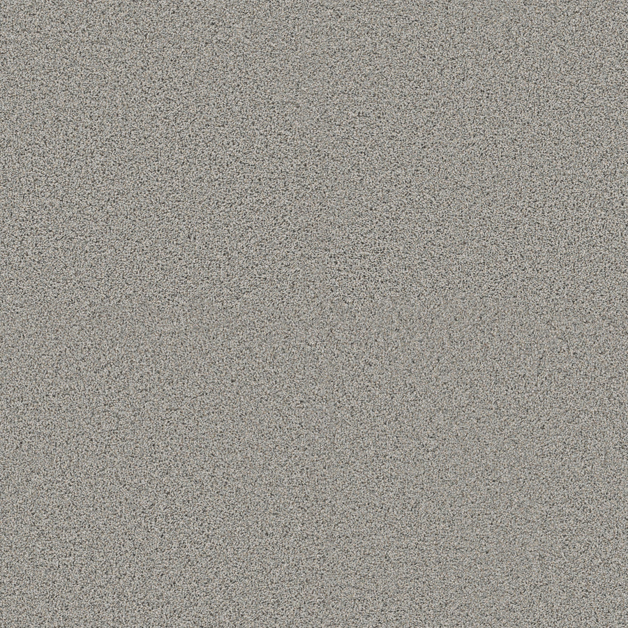 Shaw Floors - Carpet - Pet Perfect + Collection - Renewed Energy I - 12' - Thin Ice