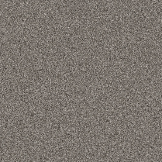 Shaw Floors - Carpet - Pet Perfect + Collection - Renewed Energy I - 12' - Cityscape