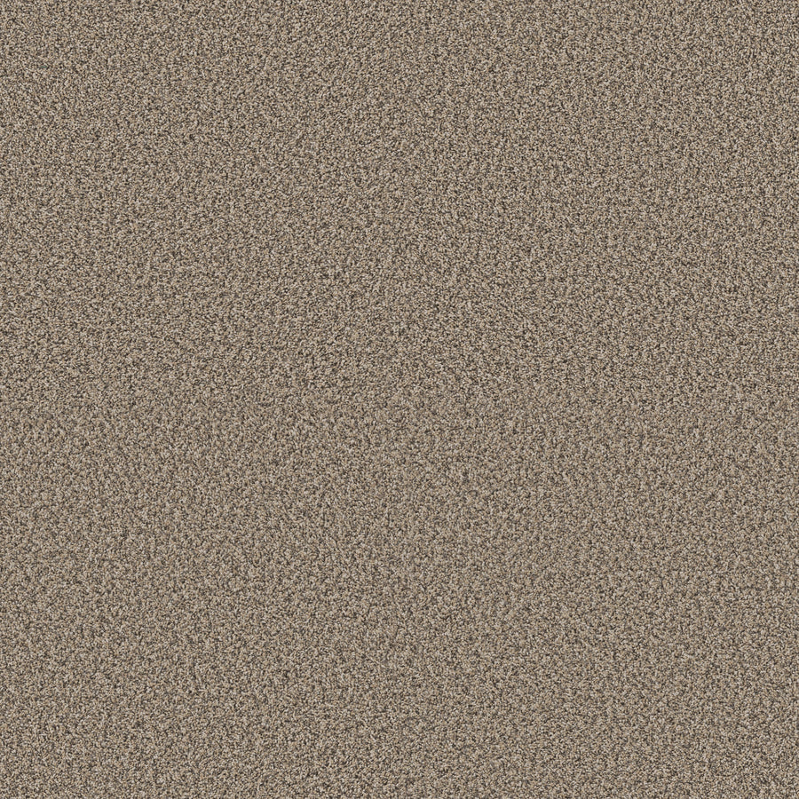 Shaw Floors - Carpet - Pet Perfect + Collection - Renewed Energy I - 12' - Khaki