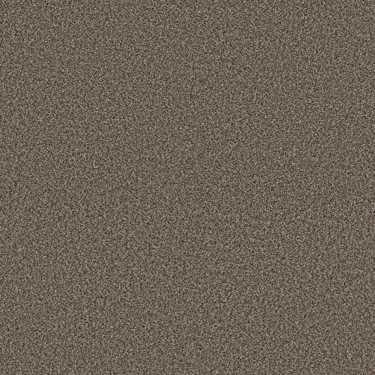 Shaw Floors - Carpet - Pet Perfect + Collection - Renewed Energy I - 12' - Fence Post