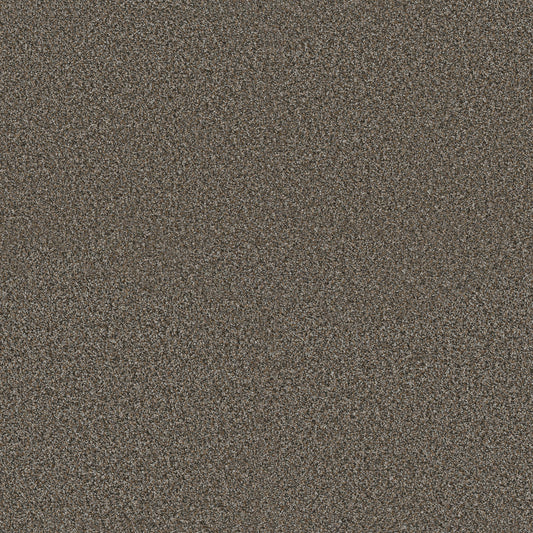 Shaw Floors - Carpet - Pet Perfect + Collection - Renewed Energy I - 12' - Mineral Bed