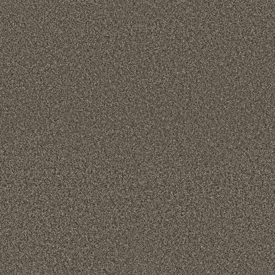 Shaw Floors - Carpet - Pet Perfect + Collection - Renewed Energy I - 12' - Mineral Bed