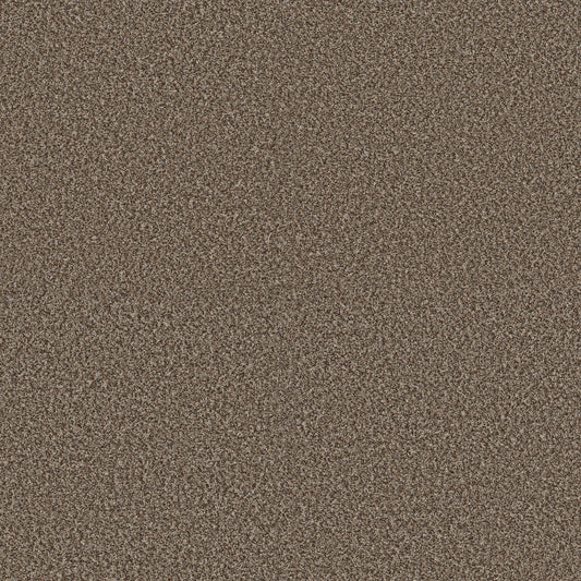 Shaw Floors - Carpet - Pet Perfect + Collection - Renewed Energy II - 12' - Freckles