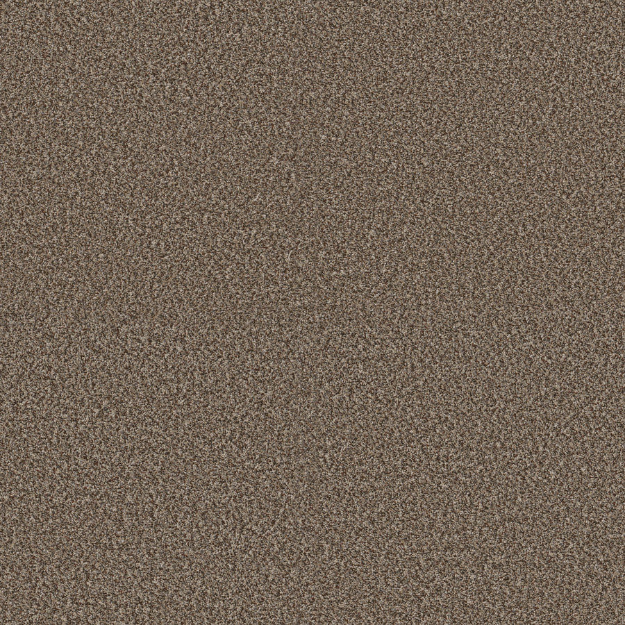 Shaw Floors - Carpet - Pet Perfect + Collection - Renewed Energy II - 12' - Freckles