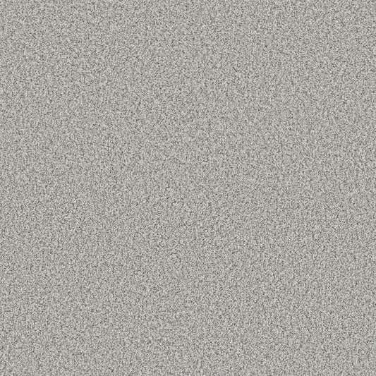 Shaw Floors - Carpet - Pet Perfect + Collection - Renewed Energy II - 12' - Snow Bound