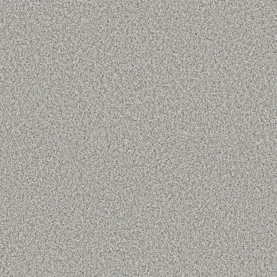 Shaw Floors - Carpet - Pet Perfect + Collection - Renewed Energy II - 12' - Snow Bound