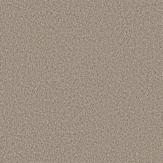 Shaw Floors - Carpet - Pet Perfect + Collection - Renewed Energy II - 12' - Sandstone
