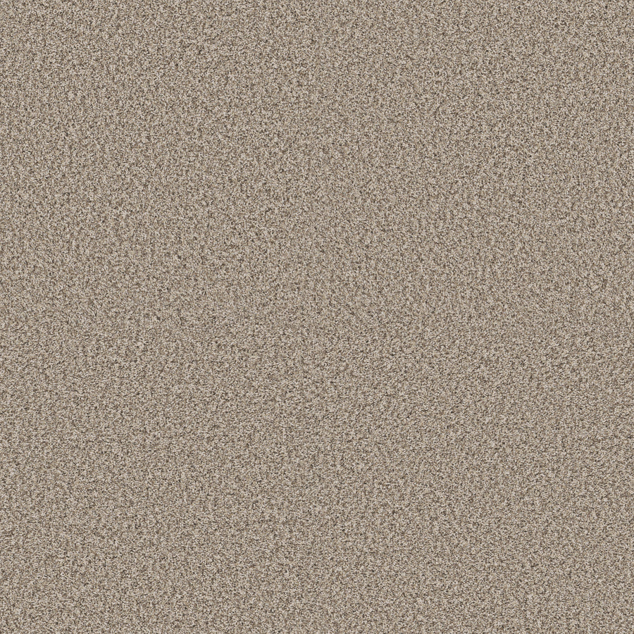 Shaw Floors - Carpet - Pet Perfect + Collection - Renewed Energy II - 12' - Sandstone