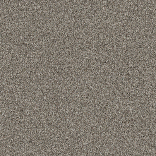 Shaw Floors - Carpet - Pet Perfect + Collection - Renewed Energy II - 12' - Granite