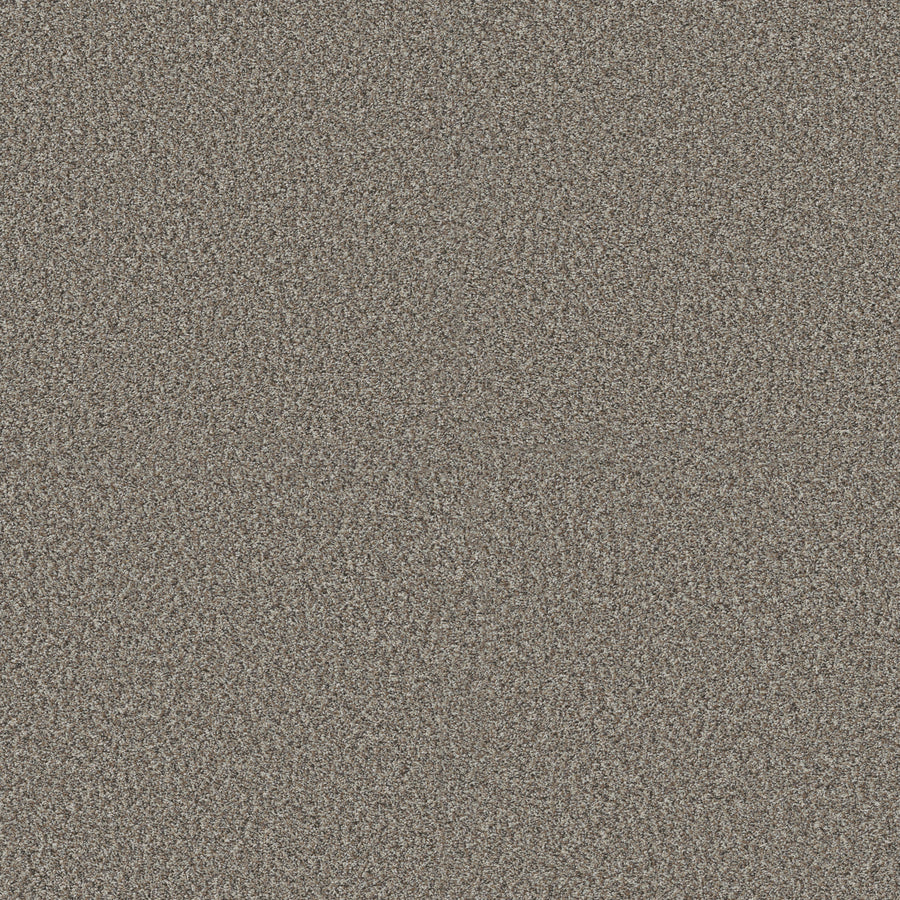 Shaw Floors - Carpet - Pet Perfect + Collection - Renewed Energy II - 12' - Granite