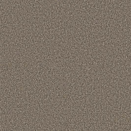 Shaw Floors - Carpet - Pet Perfect + Collection - Renewed Energy II - 12' - Countryside