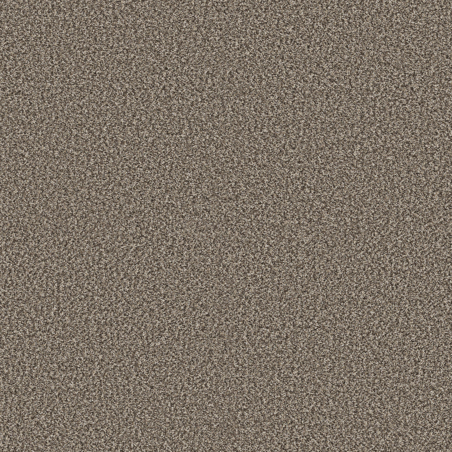 Shaw Floors - Carpet - Pet Perfect + Collection - Renewed Energy II - 12' - Countryside