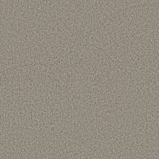 Shaw Floors - Carpet - Pet Perfect + Collection - Renewed Energy II - 12' - Landscape