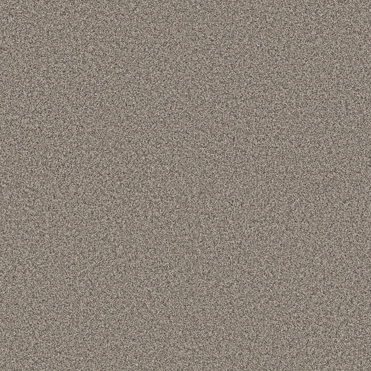 Shaw Floors - Carpet - Pet Perfect + Collection - Renewed Energy II - 12' - Prairie Run
