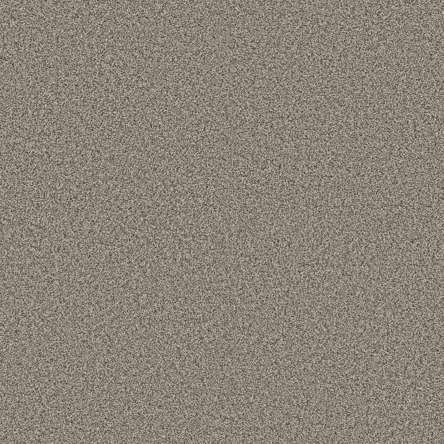 Shaw Floors - Carpet - Pet Perfect + Collection - Renewed Energy II - 12' - Prairie Run