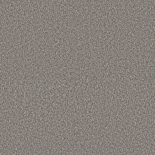 Shaw Floors - Carpet - Pet Perfect + Collection - Renewed Energy II - 12' - Fog