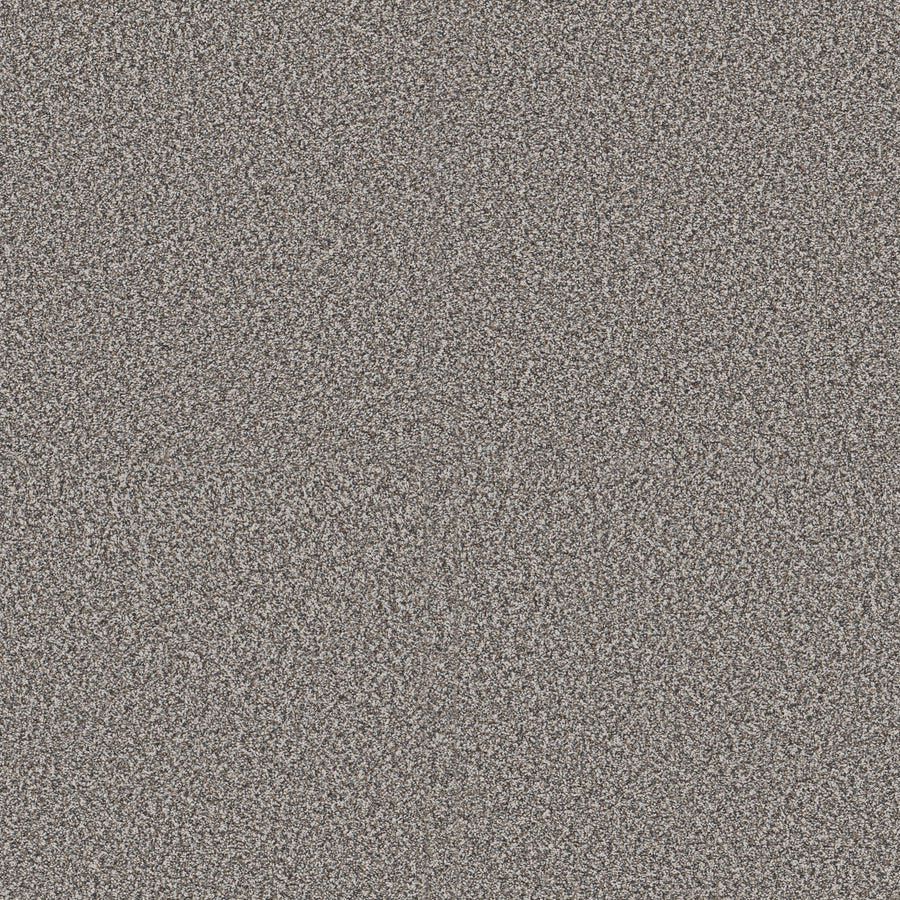Shaw Floors - Carpet - Pet Perfect + Collection - Renewed Energy II - 12' - Fog