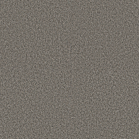 Shaw Floors - Carpet - Pet Perfect + Collection - Renewed Energy II - 12' - Shadow