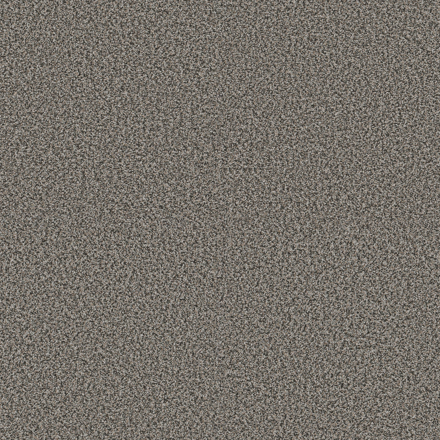 Shaw Floors - Carpet - Pet Perfect + Collection - Renewed Energy II - 12' - Shadow