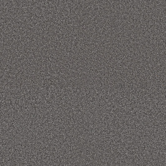 Shaw Floors - Carpet - Pet Perfect + Collection - Renewed Energy II - 12' - River Rock