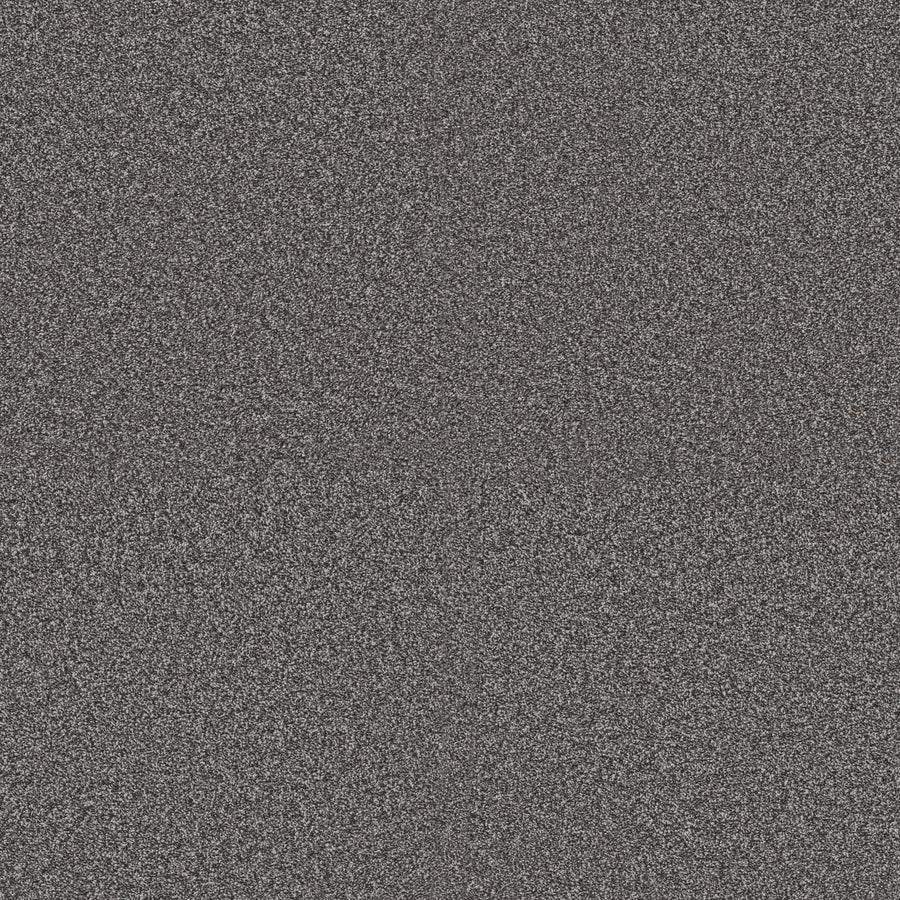 Shaw Floors - Carpet - Pet Perfect + Collection - Renewed Energy II - 12' - River Rock