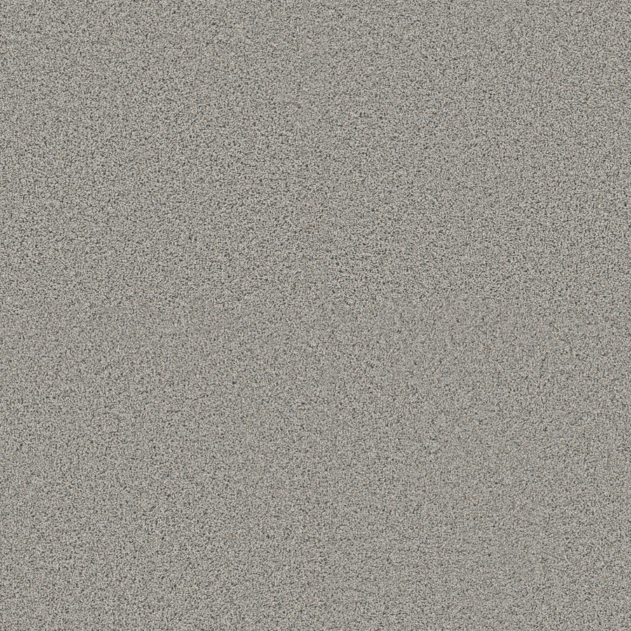 Shaw Floors - Carpet - Pet Perfect + Collection - Renewed Energy II - 12' - Thin Ice