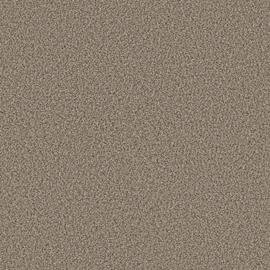 Shaw Floors - Carpet - Pet Perfect + Collection - Renewed Energy II - 12' - Khaki
