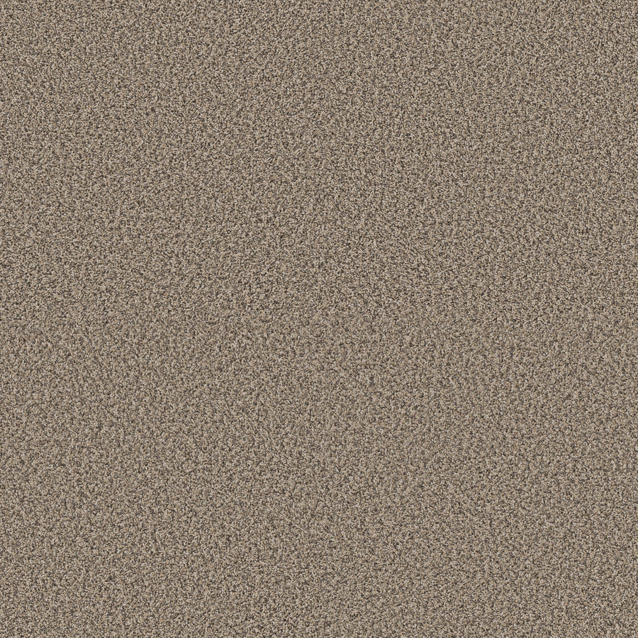 Shaw Floors - Carpet - Pet Perfect + Collection - Renewed Energy II - 12' - Khaki