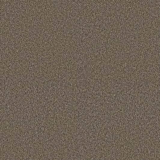 Shaw Floors - Carpet - Pet Perfect + Collection - Renewed Energy II - 12' - Fence Post