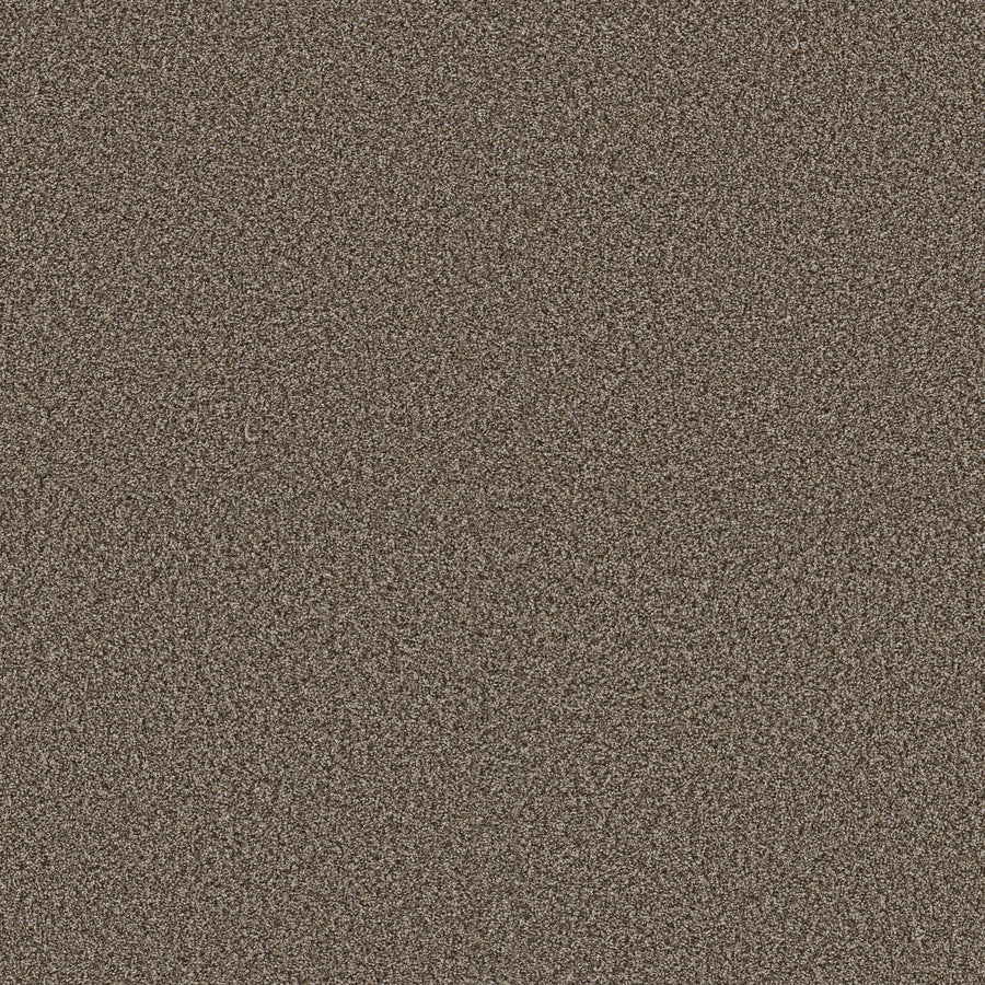 Shaw Floors - Carpet - Pet Perfect + Collection - Renewed Energy II - 12' - Fence Post