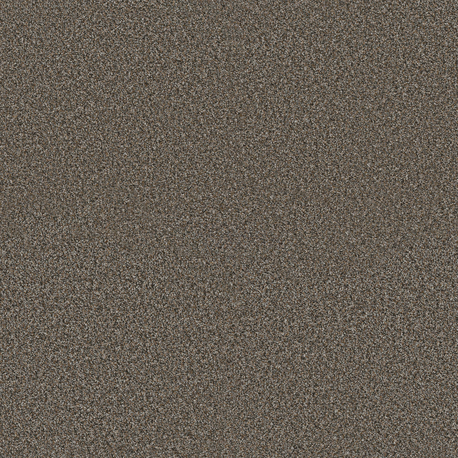 Shaw Floors - Carpet - Pet Perfect + Collection - Renewed Energy II - 12' - Mineral Bed