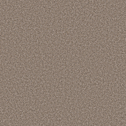 Shaw Floors - Carpet - Pet Perfect Collection - Remixed Classic - 12' - Folklore
