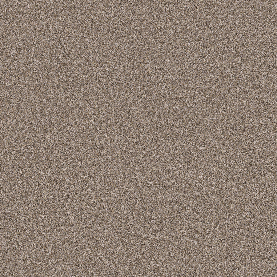 Shaw Floors - Carpet - Pet Perfect Collection - Remixed Classic - 12' - Folklore