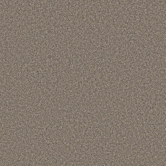 Shaw Floors - Carpet - Pet Perfect Collection - Remixed Classic - 12' - Nutria