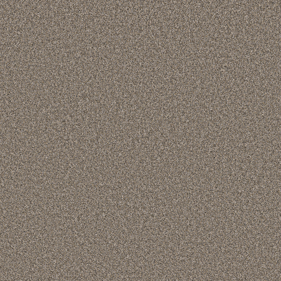 Shaw Floors - Carpet - Pet Perfect Collection - Remixed Classic - 12' - Nutria