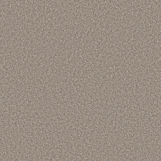 Shaw Floors - Carpet - Pet Perfect Collection - Remixed Classic - 12' - Pebble
