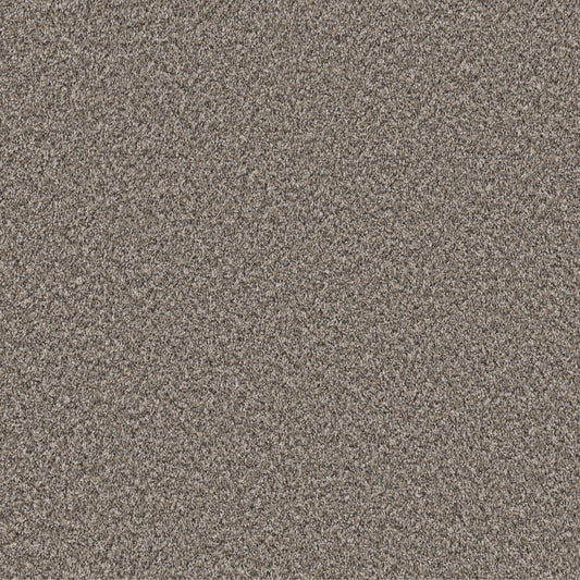Shaw Floors - Carpet - Pet Perfect Collection - Remixed Classic - 12' - Cobble Drive