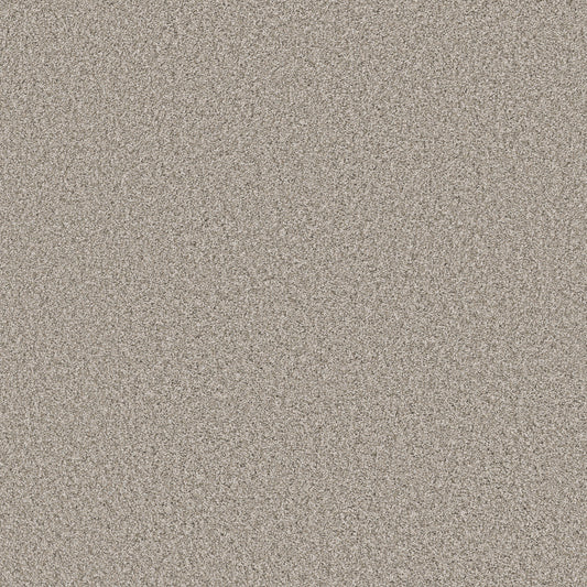 Shaw Floors - Carpet - Pet Perfect Collection - Remixed Classic - 12' - Canoe