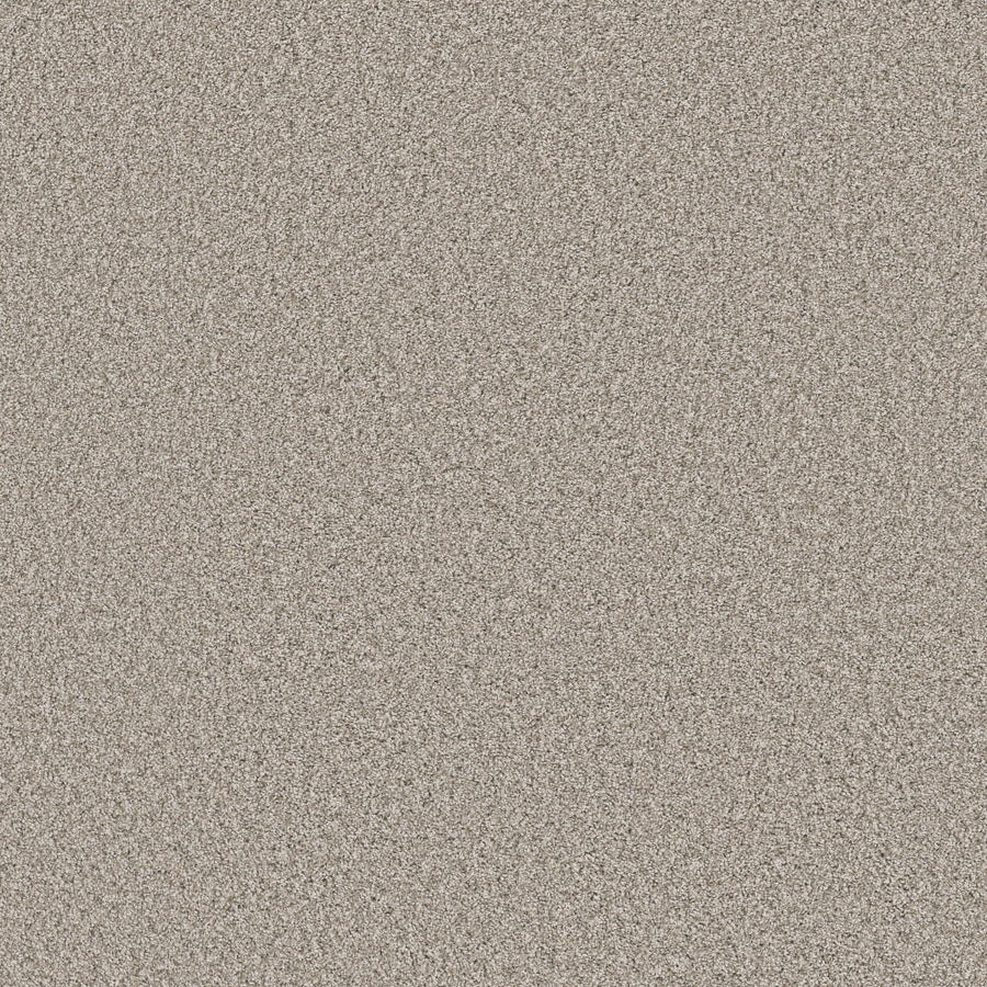 Shaw Floors - Carpet - Pet Perfect Collection - Remixed Classic - 12' - Canoe