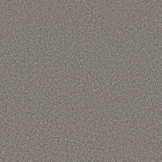 Shaw Floors - Carpet - Pet Perfect Collection - Remixed Classic - 12' - Antique Pewter
