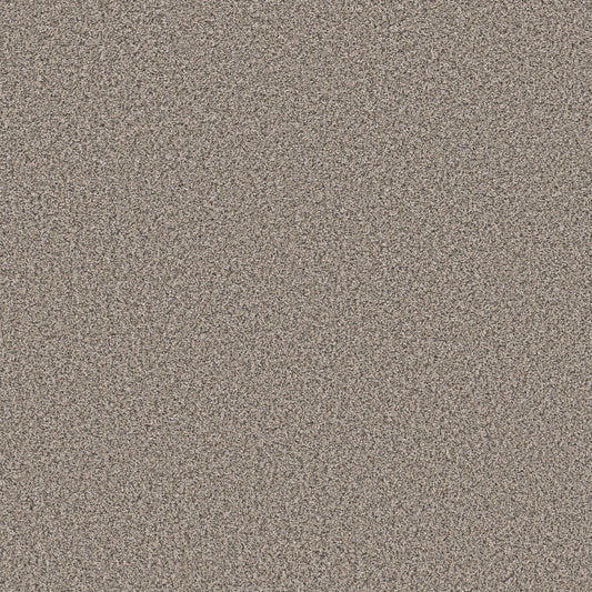 Shaw Floors - Carpet - Pet Perfect Collection - Remixed Classic - 12' - Vapor