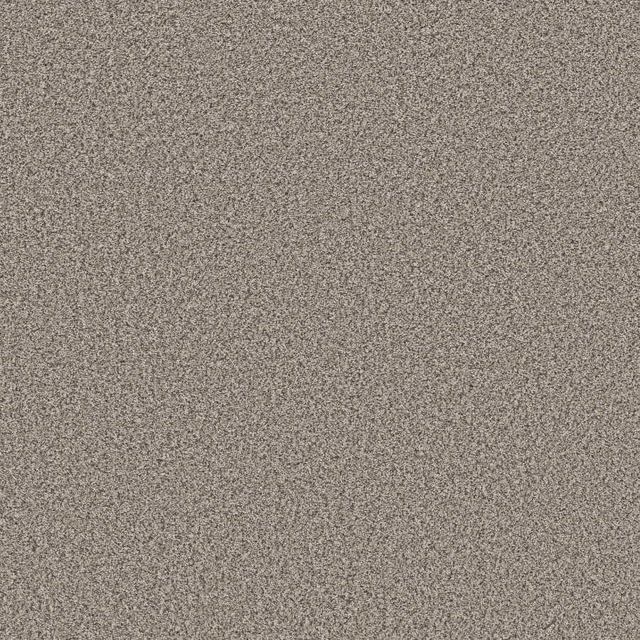 Shaw Floors - Carpet - Pet Perfect Collection - Remixed Classic - 12' - Vapor