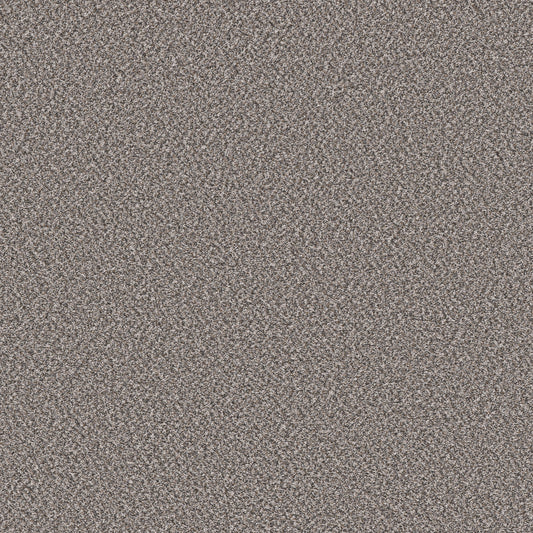 Shaw Floors - Carpet - Pet Perfect Collection - Remixed Classic - 12' - Mineral
