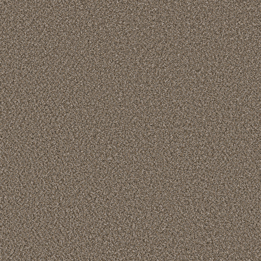 Shaw Floors - Carpet - Pet Perfect Collection - Remixed Classic - 12' - Dry Creek