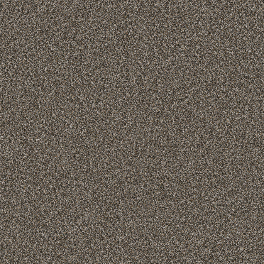 Shaw Floors - Carpet - Pet Perfect Collection - Remixed Classic - 12' - Rock Garden