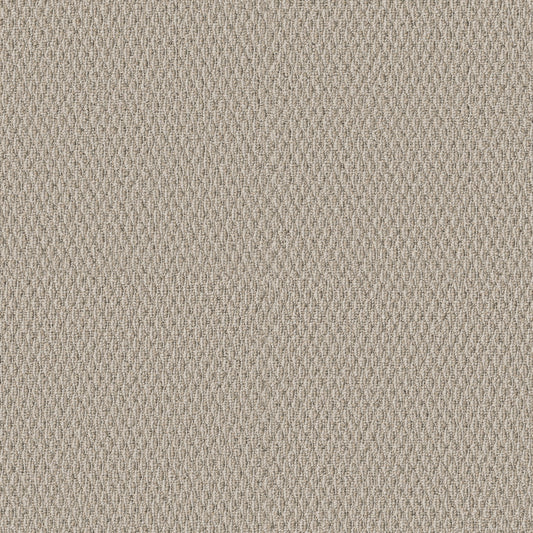 Shaw Floors - Carpet - Simply the Best Values Collection - Stonebrook - 12' - Crescent Moon