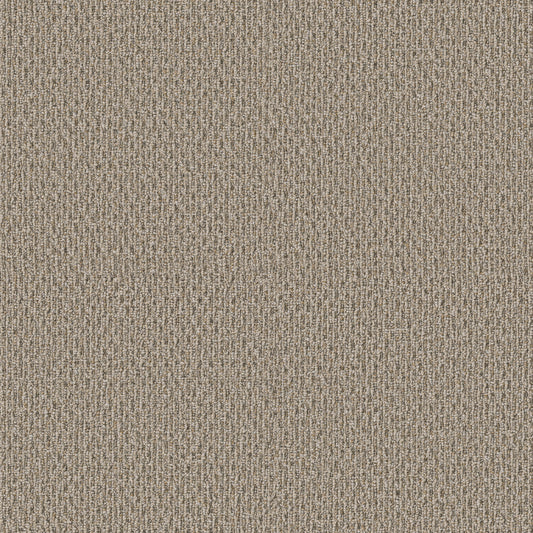 Shaw Floors - Carpet - Simply the Best Values Collection - Stonebrook - 12' - Basketry